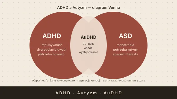 ADHD a autyzm — różnice, podobieństwa i AuDHD