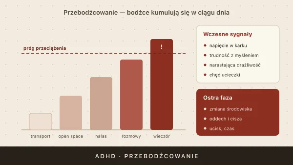 Przebodźcowanie przy ADHD — jak je rozpoznać i jak dbać o układ nerwowy
