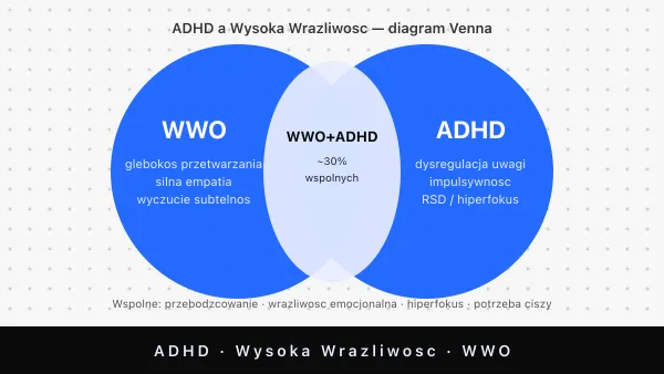 ADHD a wysoka wrażliwość WWO — różnice i nakładanie