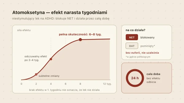 Atomoksetyna (Strattera, Auroxetyn) — działanie, ceny i kiedy stosować