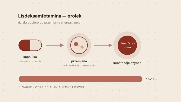 Elvanse (lisdeksamfetamina) w Polsce — działanie, dostępność, recepta, cena