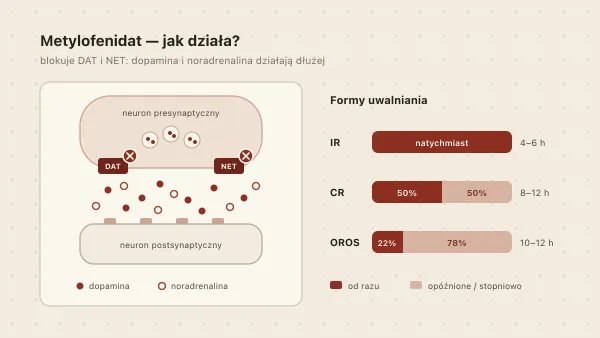 Metylofenidat: Medikinet, Concerta, Ritalin — różnice, ceny 2026, dawki